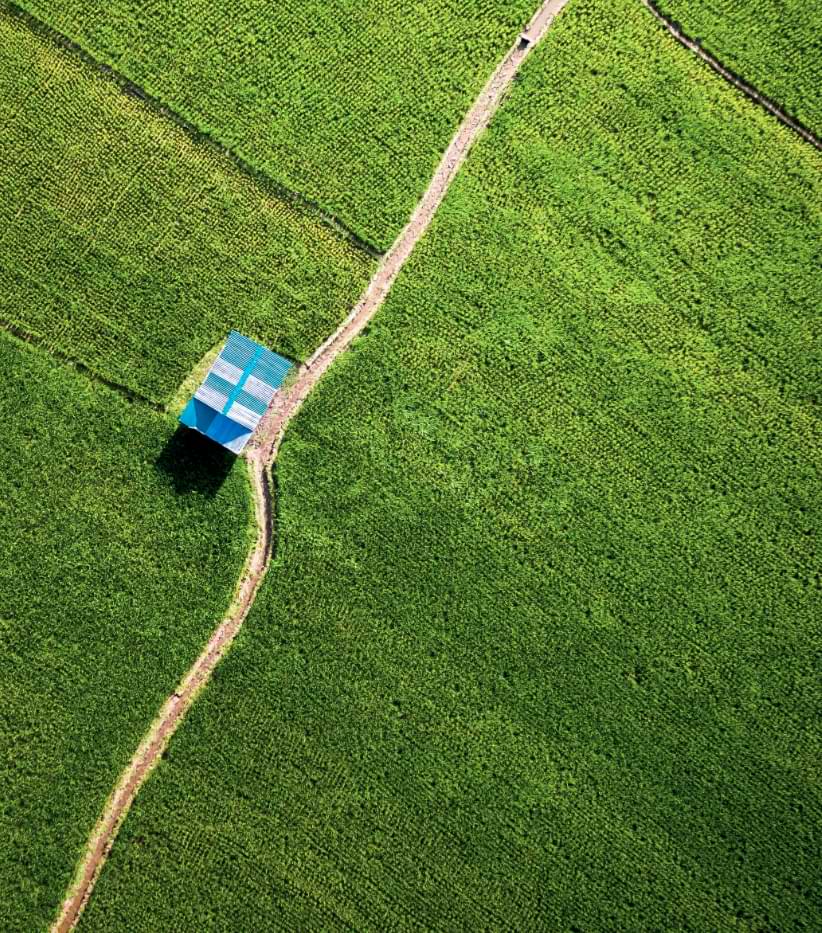 Farm field