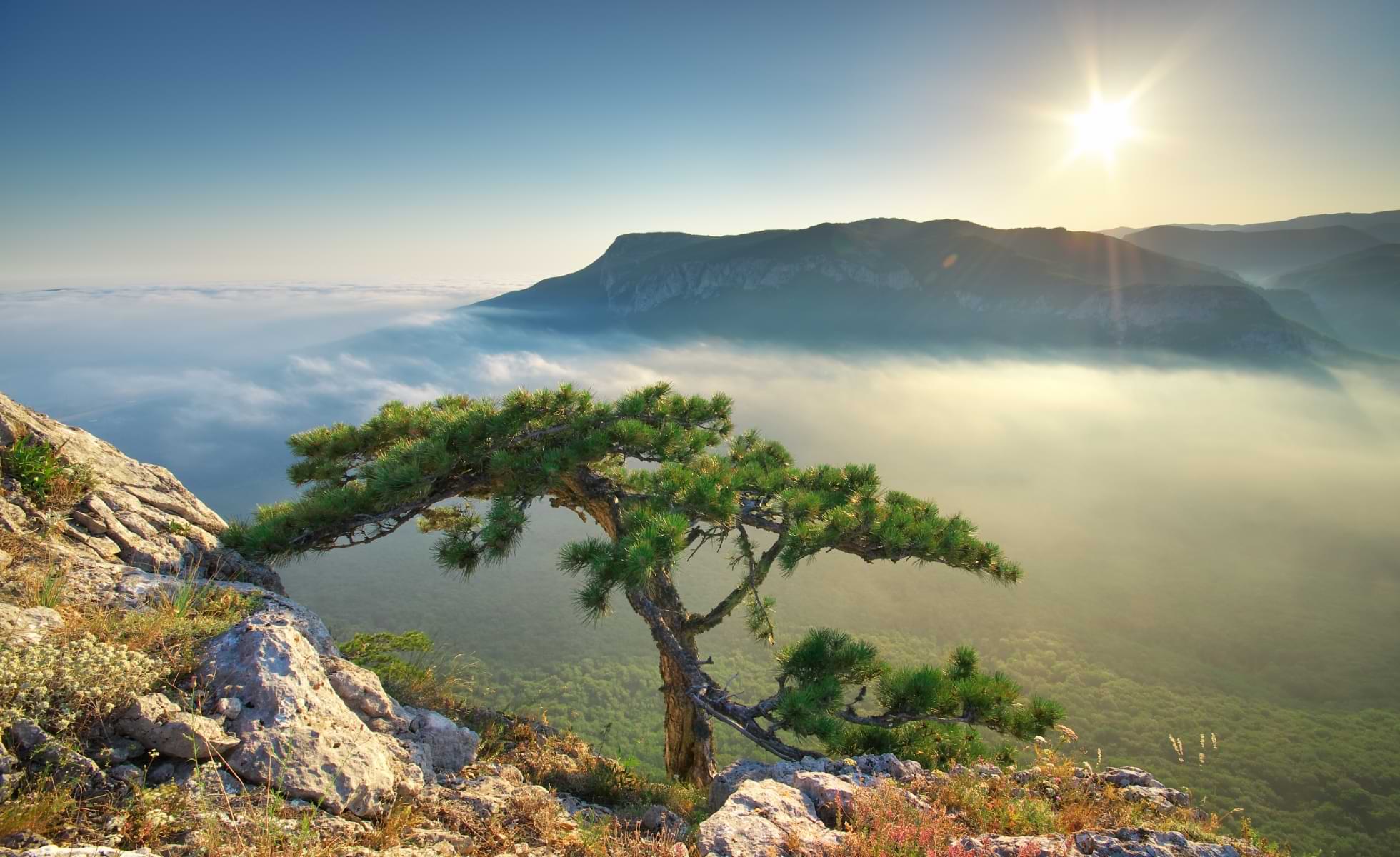 Morning landscape