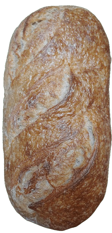 Organic Country Bread