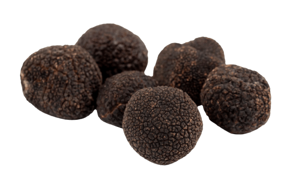 Black Truffle Melanosporum