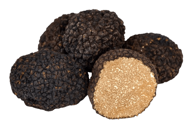 Black Autumn Truffle