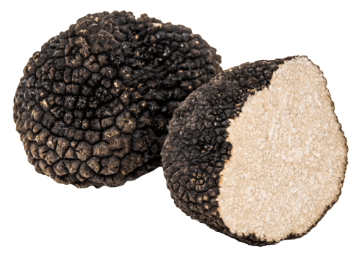 Black Summer Truffle Aestivum