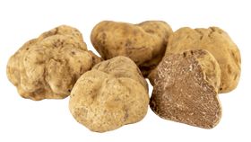 White Truffle Tuber Magnatum