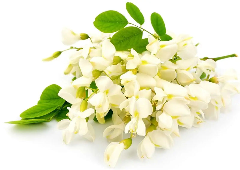 Acacia White Truffle Honey mood image 3