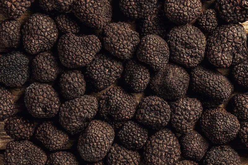 Black Autumn Truffle mood image 3