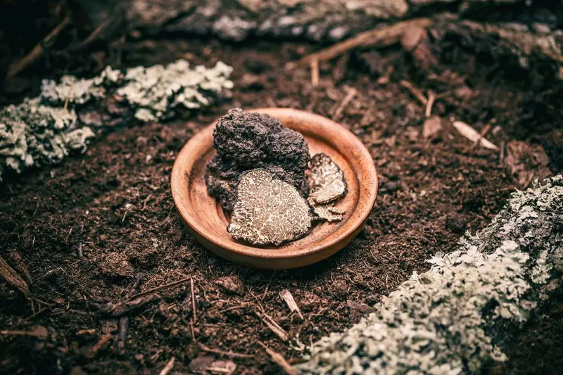 Black Truffle Extra Virgin Olive Oil mood image 3