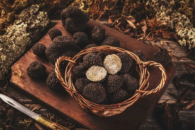 Black Truffle Melanosporum mood image 3