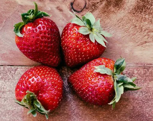 Black Truffle Wild Strawberry Jam mood image 3