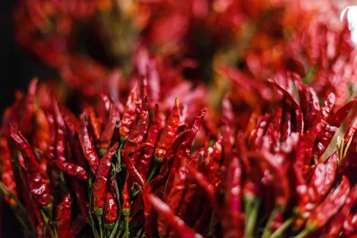Calabrian Chili Pepper Infused EVOO mood image 1