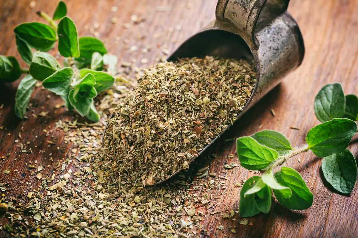 Wild Greek Oregano mood image 1