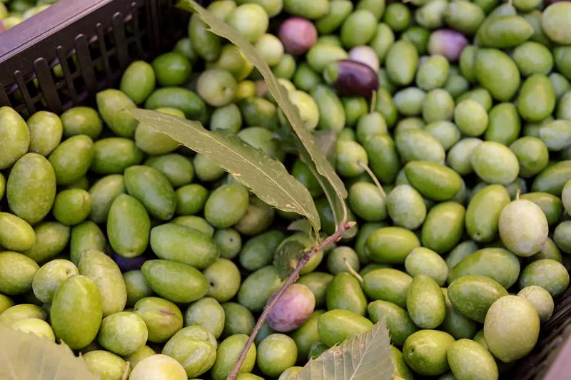 OMG! Olive Truffle Tapenade Heaven mood image 2
