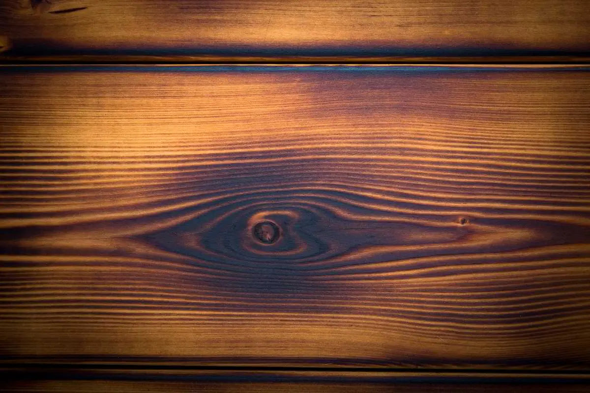 Olive Wood Bottle - Tree hallow mood image 1