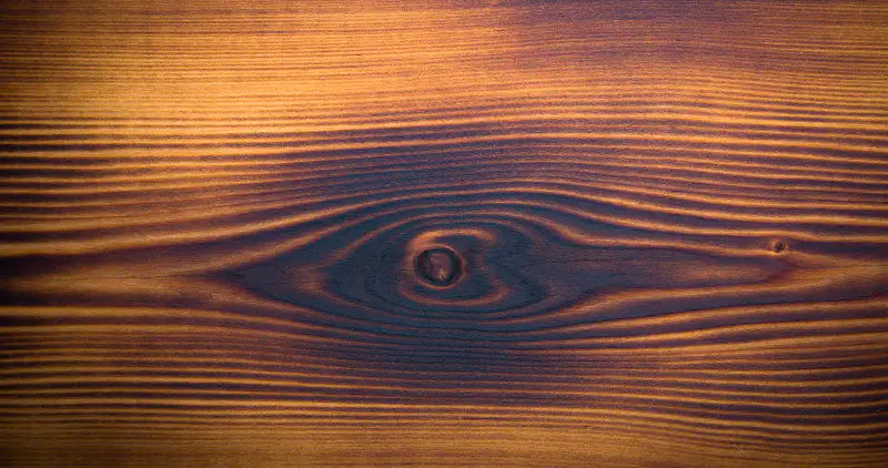 Olive Wood Bottle -Roots mood image 3
