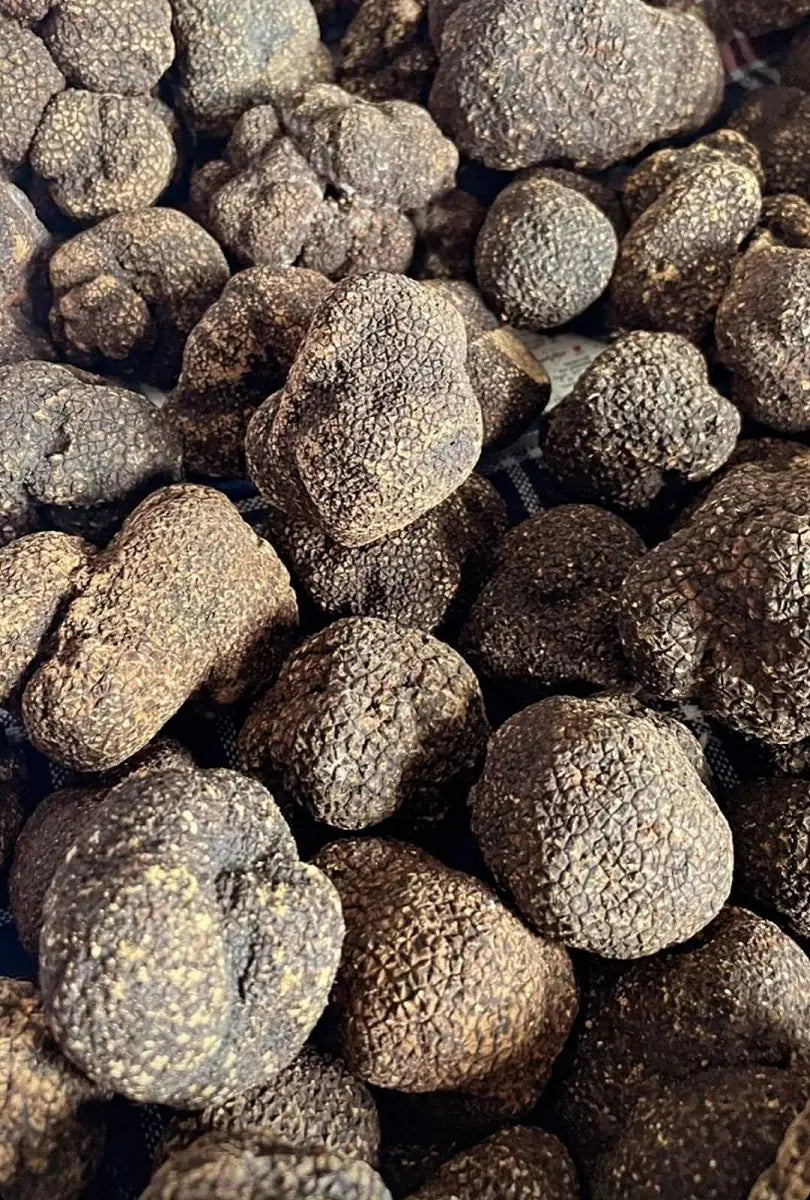 Truffle Gouda Raw Milk mood image 1