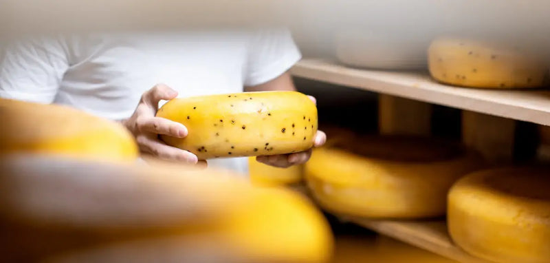 Truffle Gouda Raw Milk mood image 3