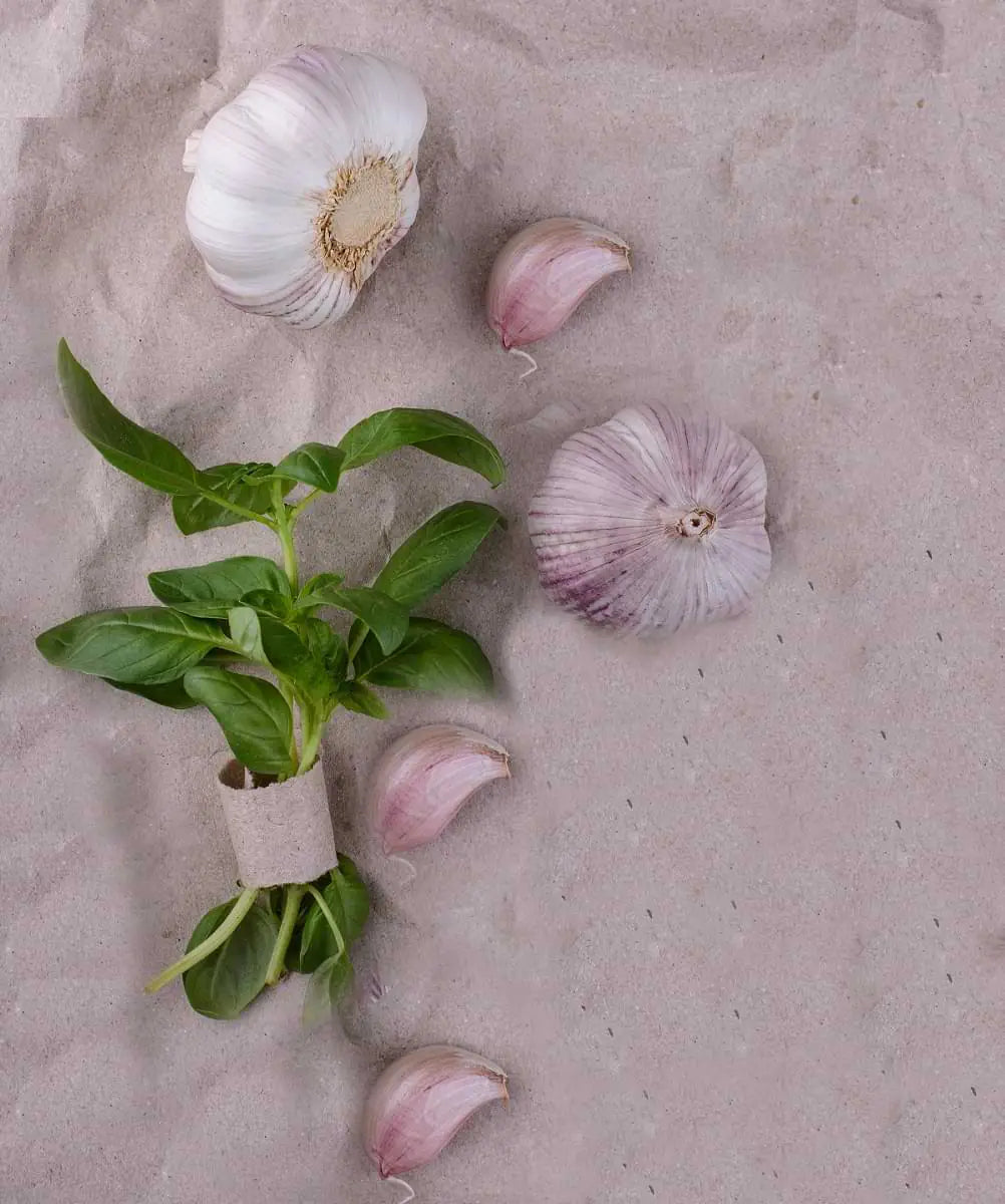 Sea Salt Basil & Garlic Mill mood image 1