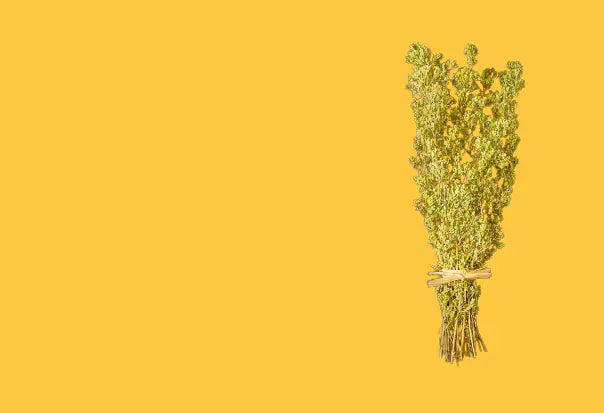 Sea Salt Flakes Wild Organic Oregano mood image 3