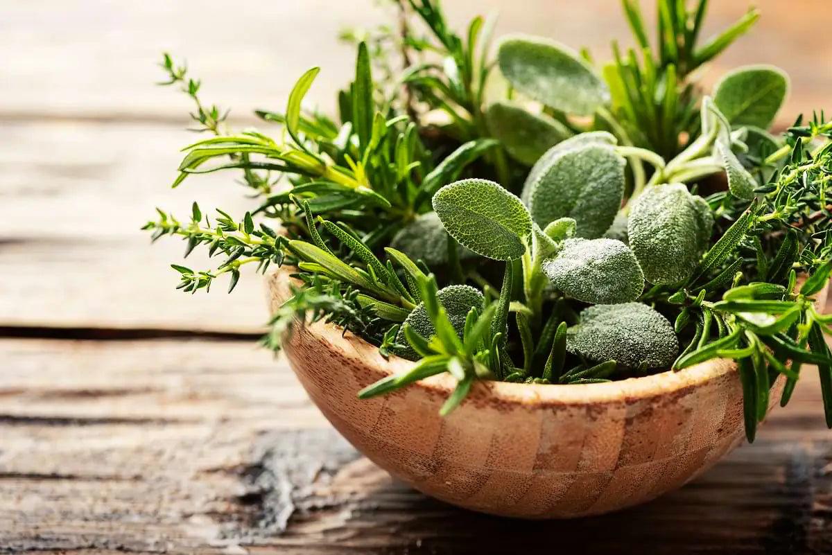 Sea Salt Mediterranean Herbs Mill - Refill mood image 1